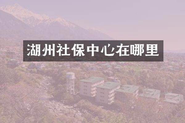 湖州社保中心在哪里