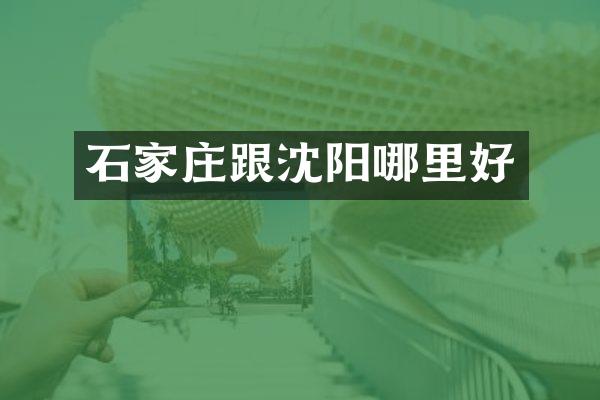 石家庄跟沈阳哪里好