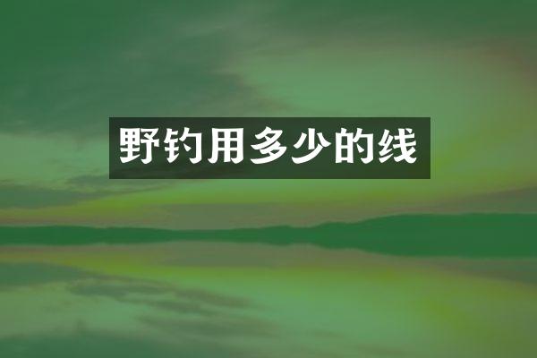 野钓用多少的线