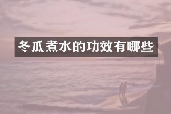 冬瓜煮水的功效有哪些