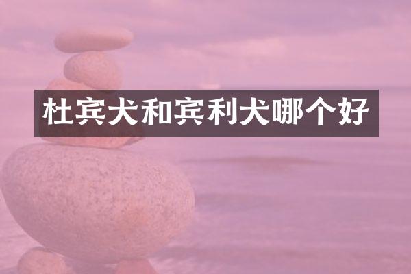 杜宾犬和宾利犬哪个好