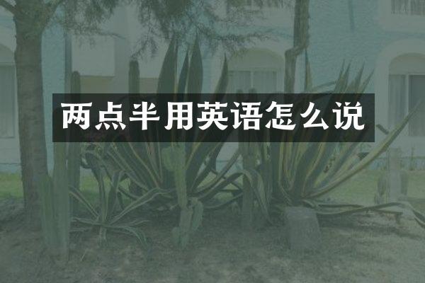 两点半用英语怎么说