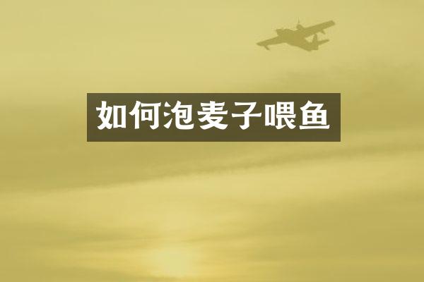 如何泡麦子喂鱼