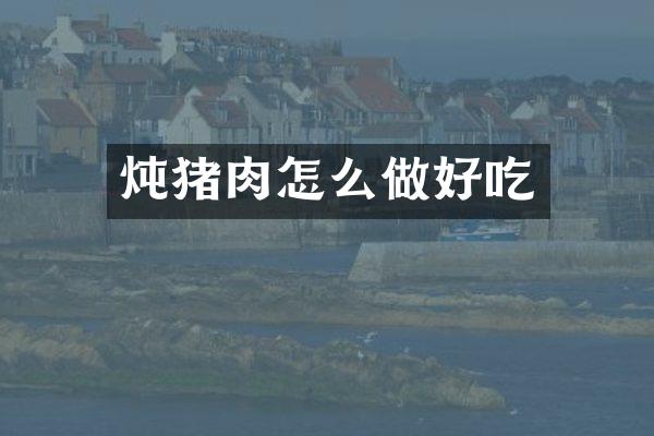 炖猪肉怎么做好吃