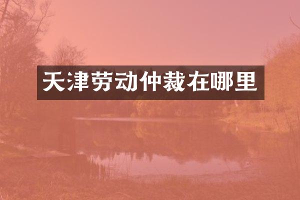 天津劳动仲裁在哪里