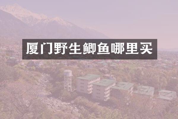 厦门野生鲫鱼哪里买
