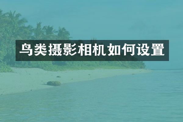 鸟类摄影相机如何设置