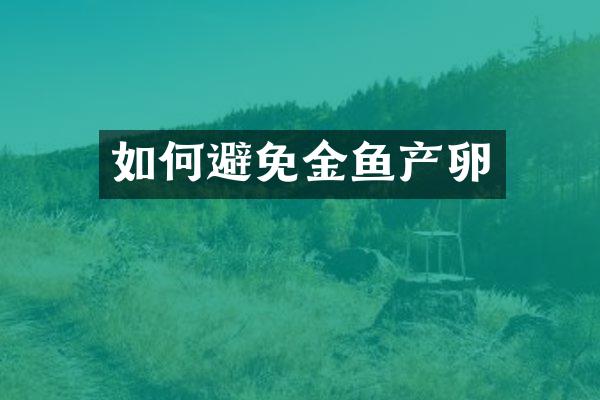 如何避免金鱼产卵