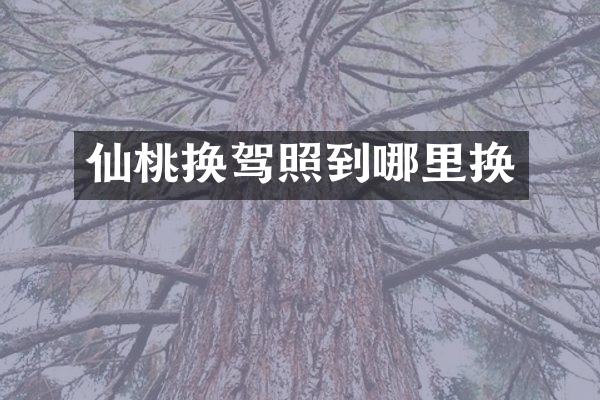 仙桃换驾照到哪里换