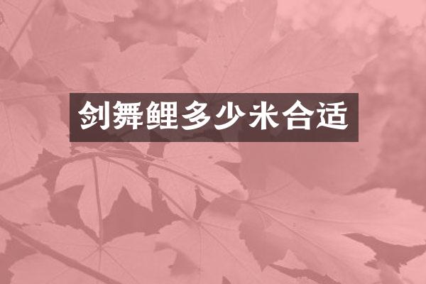 剑舞鲤多少米合适