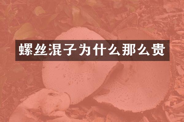 螺丝混子为什么那么贵