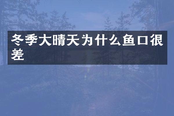 冬季大晴天为什么鱼口很差