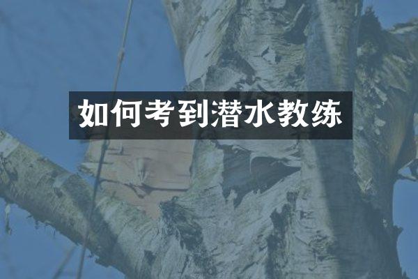 如何考到潜水教练