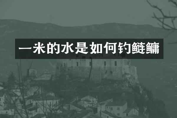 一米的水是如何钓鲢鳙