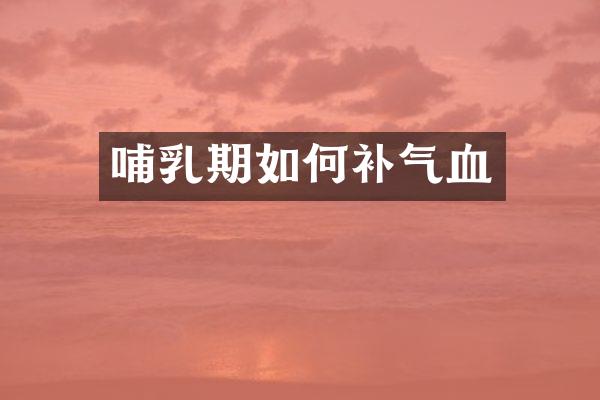 哺乳期如何补气血