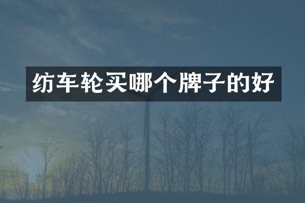 纺车轮买哪个牌子的好