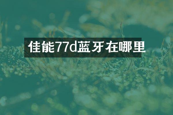 佳能77d蓝牙在哪里
