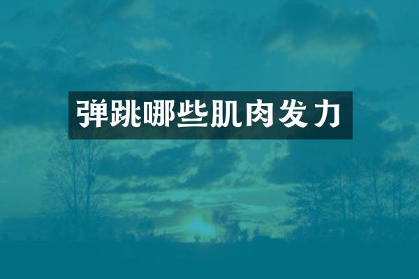 弹跳哪些肌肉发力