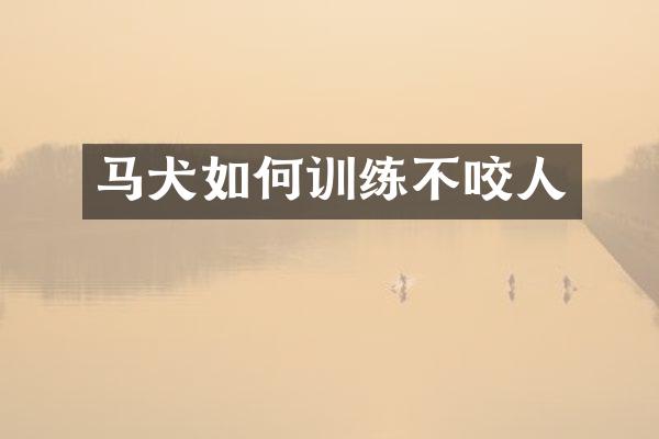 马犬如何训练不咬人