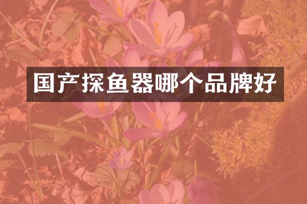 国产探鱼器哪个品牌好