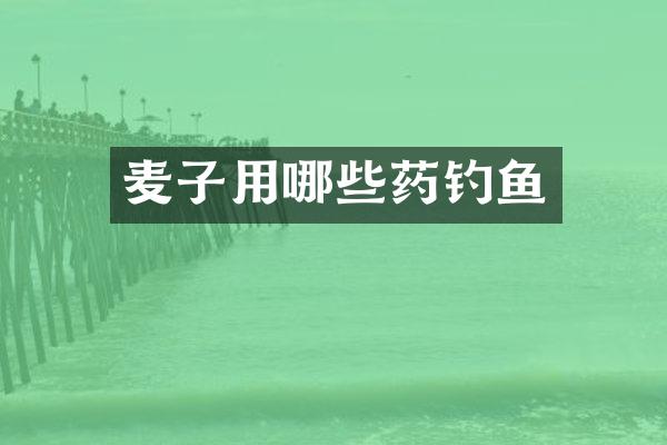 麦子用哪些药钓鱼
