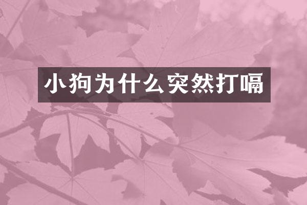 小狗为什么突然打嗝