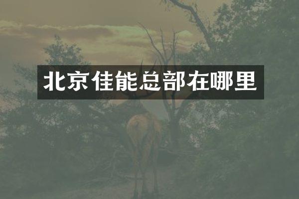 北京佳能总部在哪里