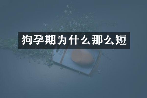 狗孕期为什么那么短