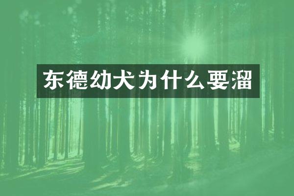 东德幼犬为什么要溜