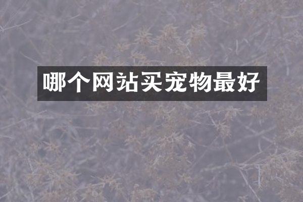 哪个网站买宠物最好