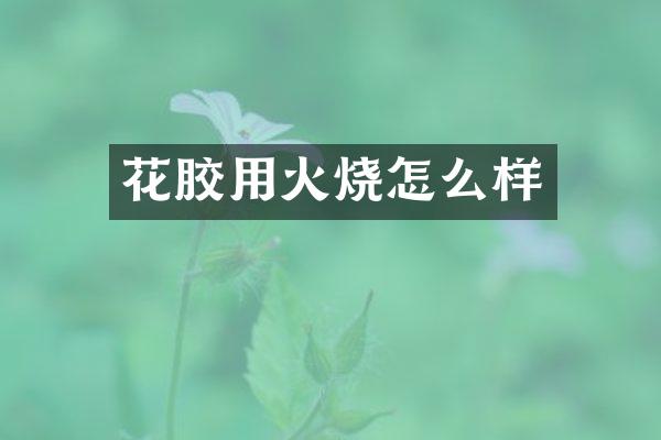 花胶用火烧怎么样