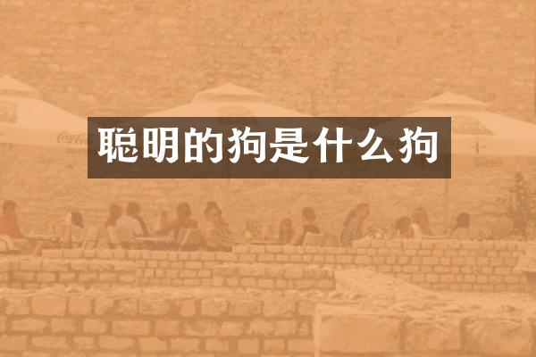 聪明的狗是什么狗