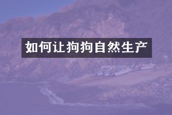 如何让狗狗自然生产
