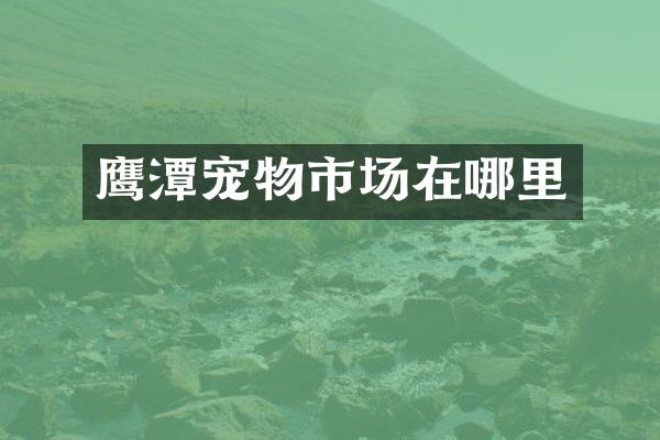 鹰潭宠物市场在哪里
