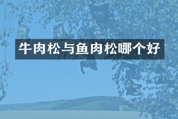牛肉松与鱼肉松哪个好