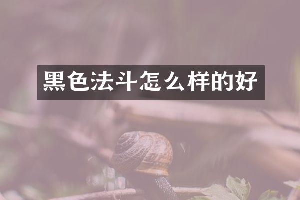 黑色法斗怎么样的好