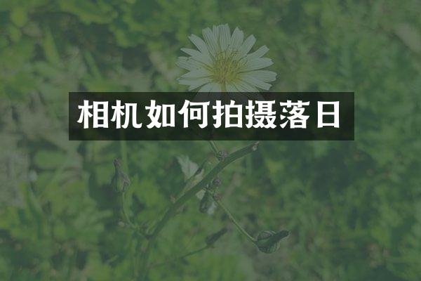 相机如何拍摄落日