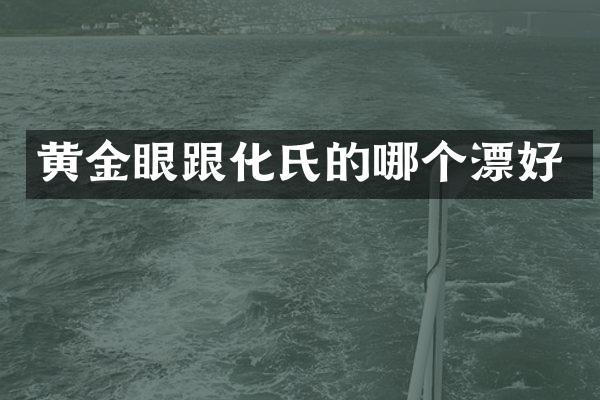黄金眼跟化氏的哪个漂好