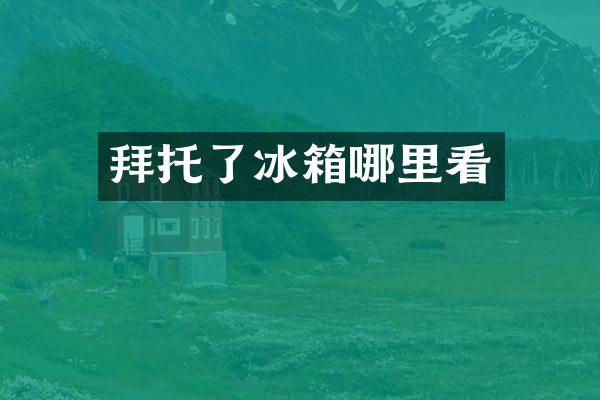 拜托了冰箱哪里看