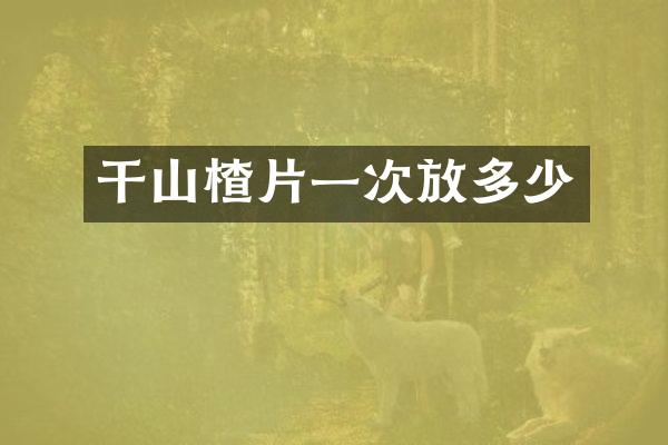 干山楂片一次放多少