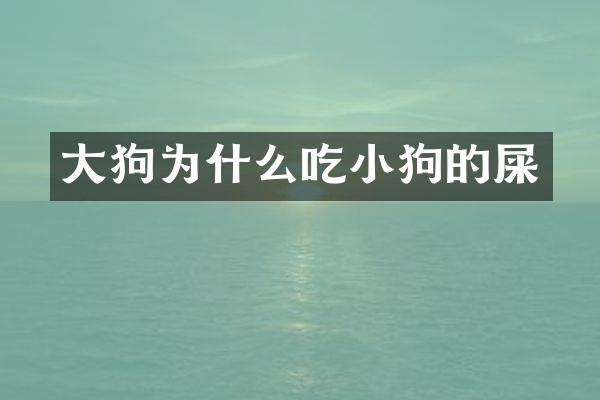 大狗为什么吃小狗的屎