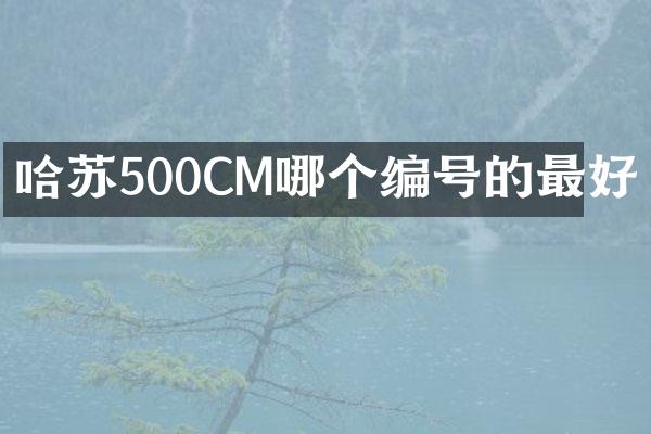 哈苏500CM哪个编号的最好