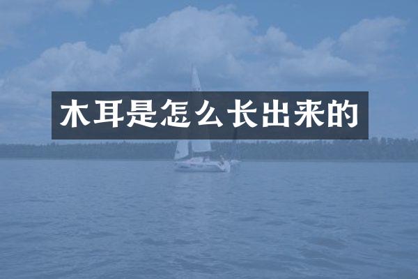 木耳是怎么长出来的