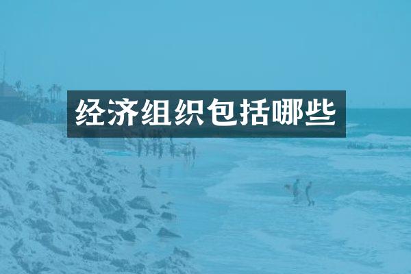经济组织包括哪些