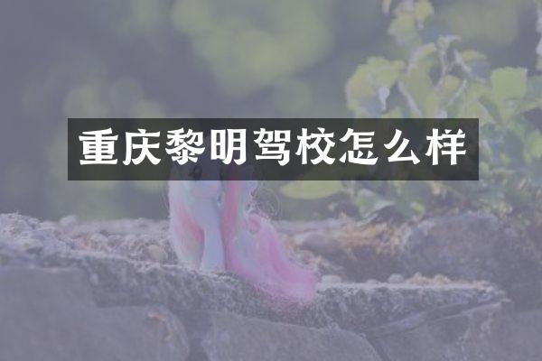 重庆黎明驾校怎么样