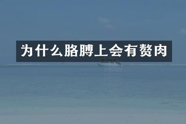 为什么胳膊上会有赘肉