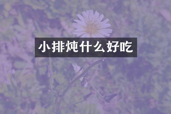 小排炖什么好吃