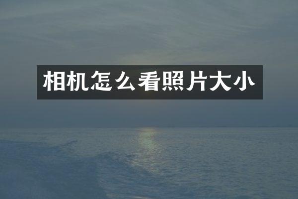 相机怎么看照片大小