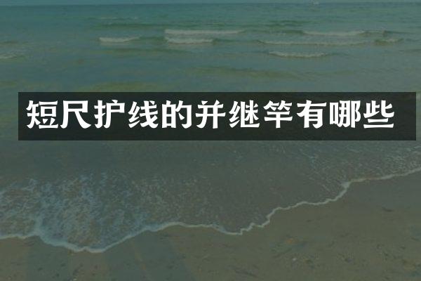 短尺护线的并继竿有哪些