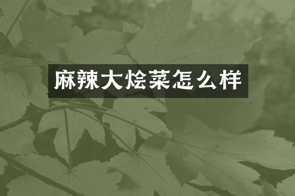 麻辣大烩菜怎么样